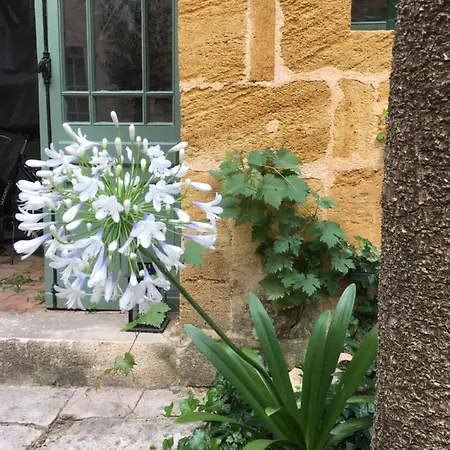 Maison De Maitre Elegia 招待所 3*