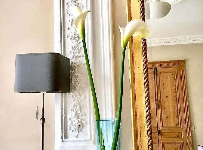 게스트하우스 Maison De Maitre Elegia 3*