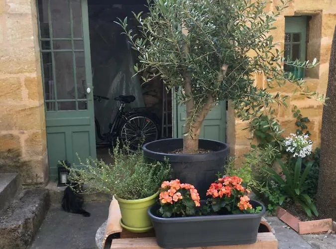 Maison De Maitre Elegia 카스티용 라 바타이유