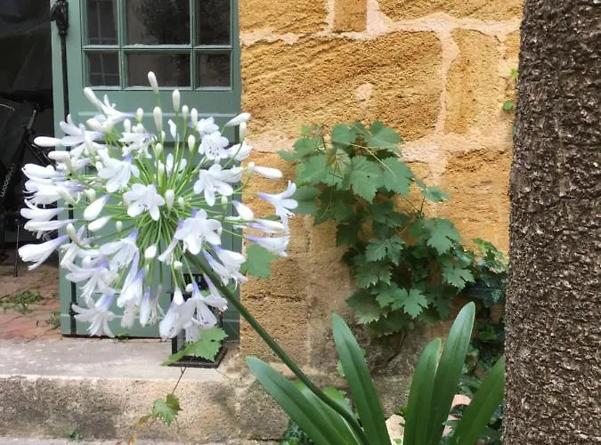 Maison De Maitre Elegia 게스트하우스 3*